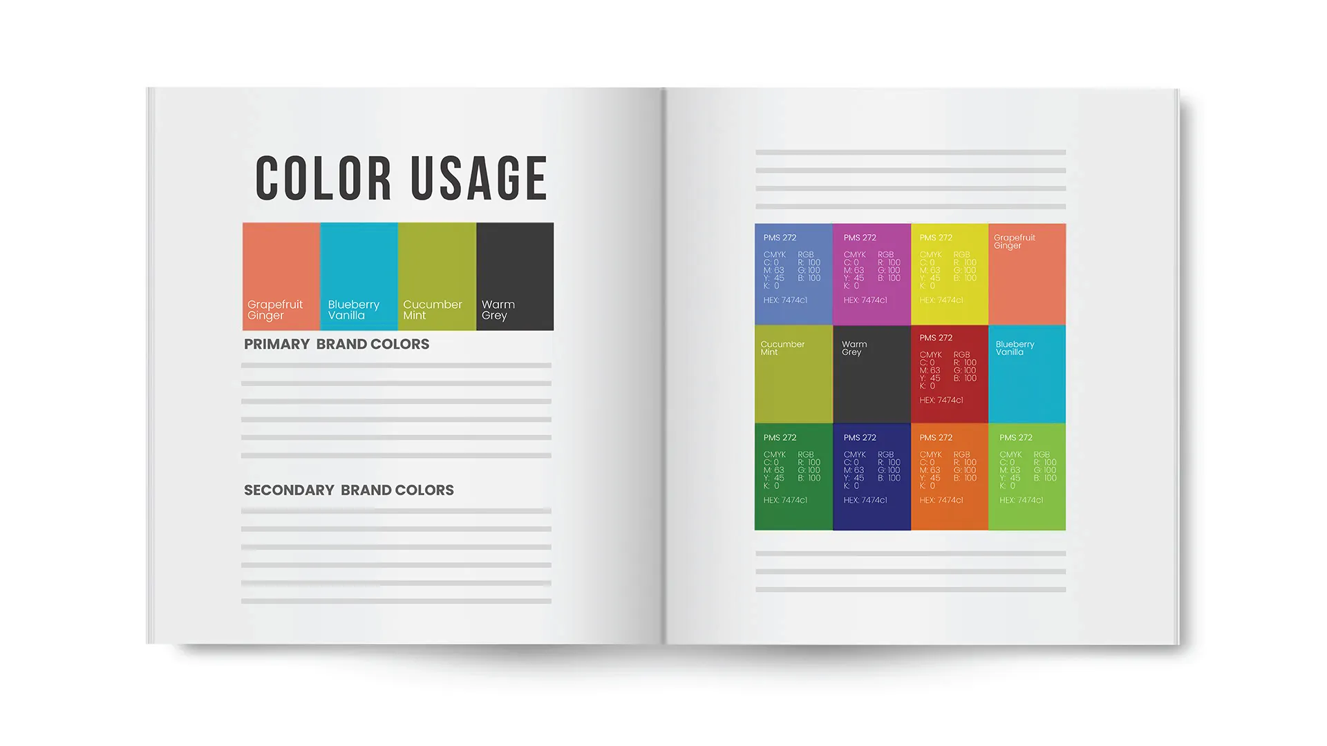 Open brand guideline book showing color usage with primary brand colors Grapefruit Ginger, Blueberry Vanilla, Cucumber Mint, Warm Grey and a grid of color swatches with PMS, CMYK, RGB, and HEX codes.