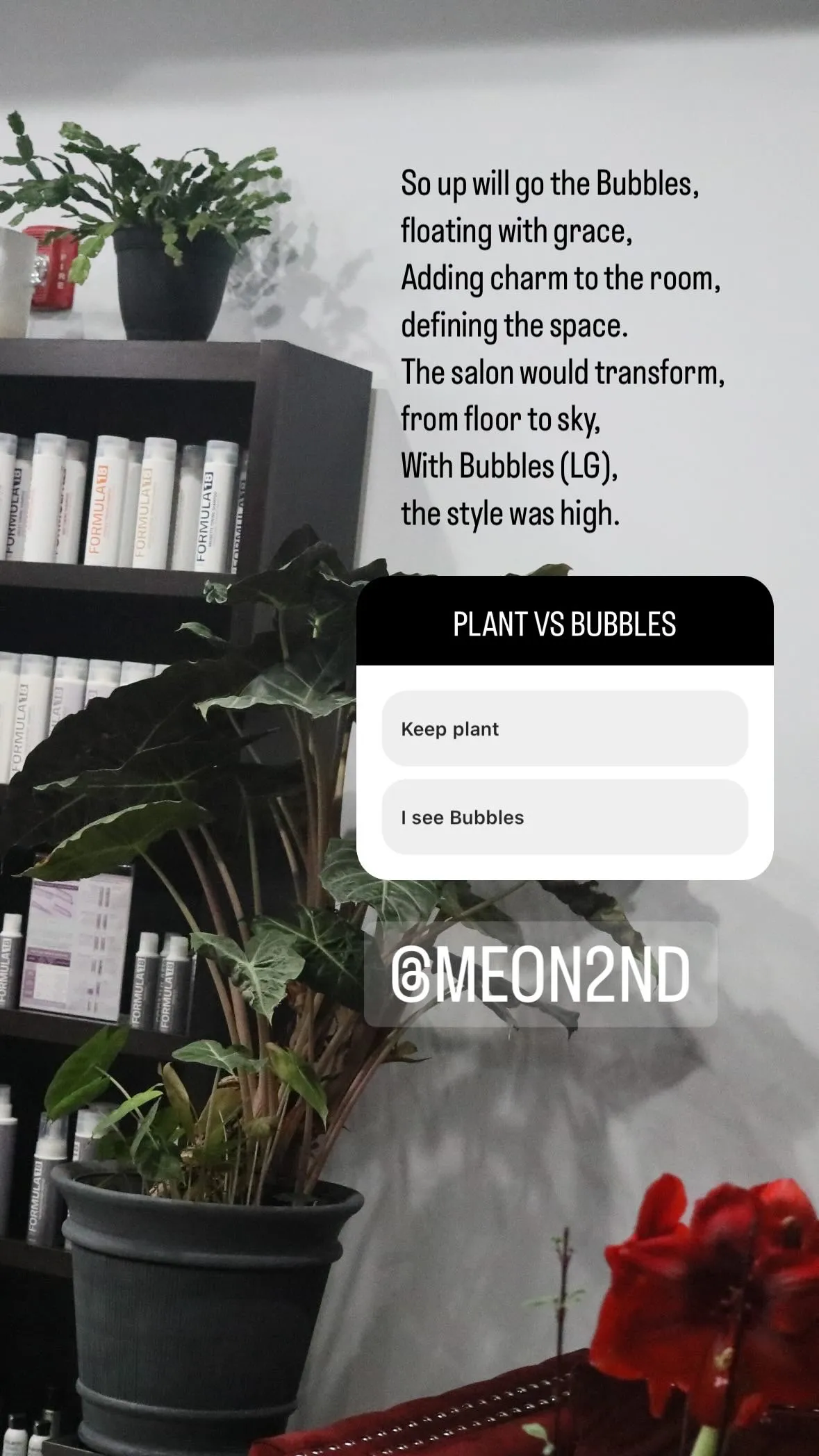 Indoor plants in pots near a shelf with hair care products, with a poem about Bubbles on the wall and a poll overlay asking to choose between keeping the plant or seeing Bubbles.